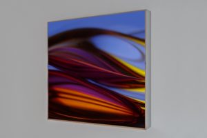 chromatic plants, polished stainless steel light box with laserchrome slide, private collection, vienna, austria, 2010