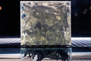 still lifes (detail view), glass case metal resin plexiglas finds wood, galerie benden & klimczak, cologne, germany 1999